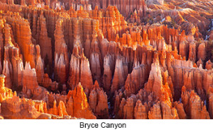 Bryce